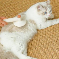 برس و پرزگیر حیوانات مدل 2 کاره